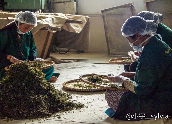 大吉岭红茶英式早餐茶区别,正宗英式下午茶