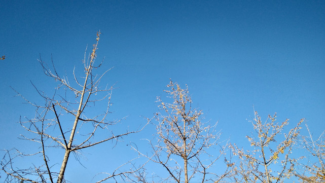 双十一红米手机推荐性价比高,全新未拆封红米4a