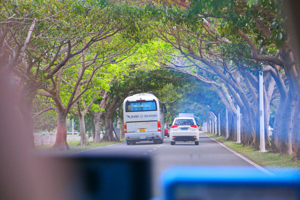 三亚最美的地方在哪里,三亚世界上最美的海在哪里