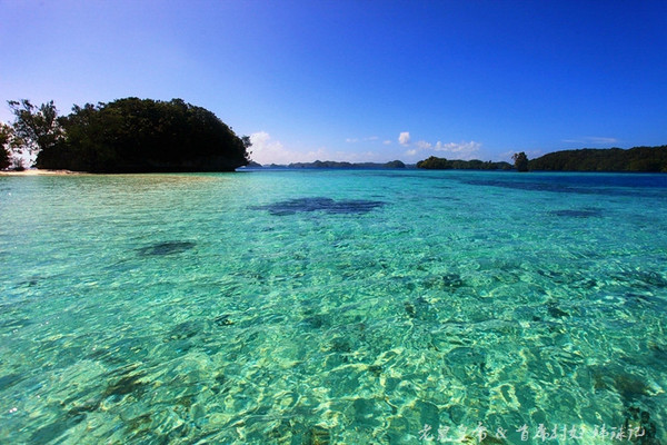 彩虹王国美术作品,彩虹王国紫色