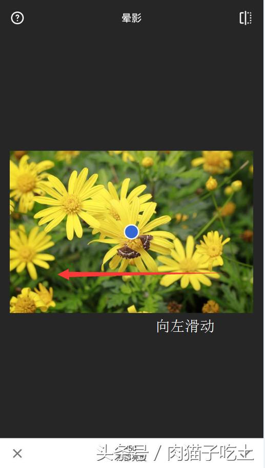 用手机如何把照片p成蓝底,手机设置背景变黑色怎么调回来