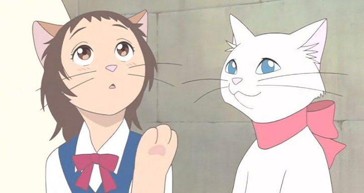 可爱动漫猫图片,十分可爱的动漫猫