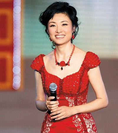 猴年央视春晚主持人,猴年春节联欢晚会主持人