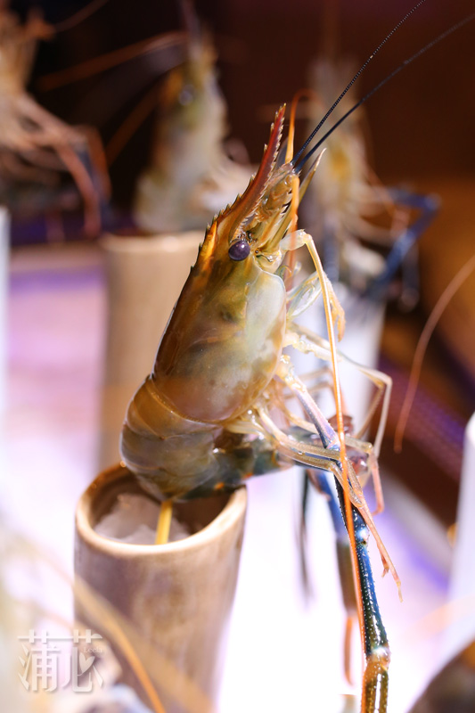 适合周末吃的海鲜自助餐,一次吃个够的海鲜自助餐