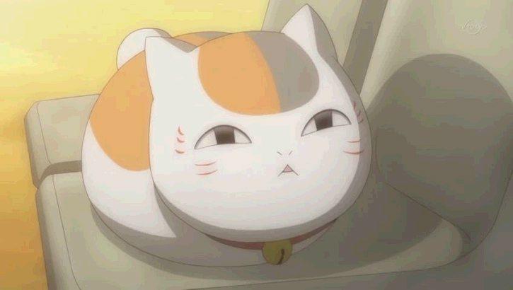 可爱动漫猫图片,十分可爱的动漫猫