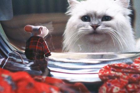 动漫卡通猫的名字,可爱动漫猫图片