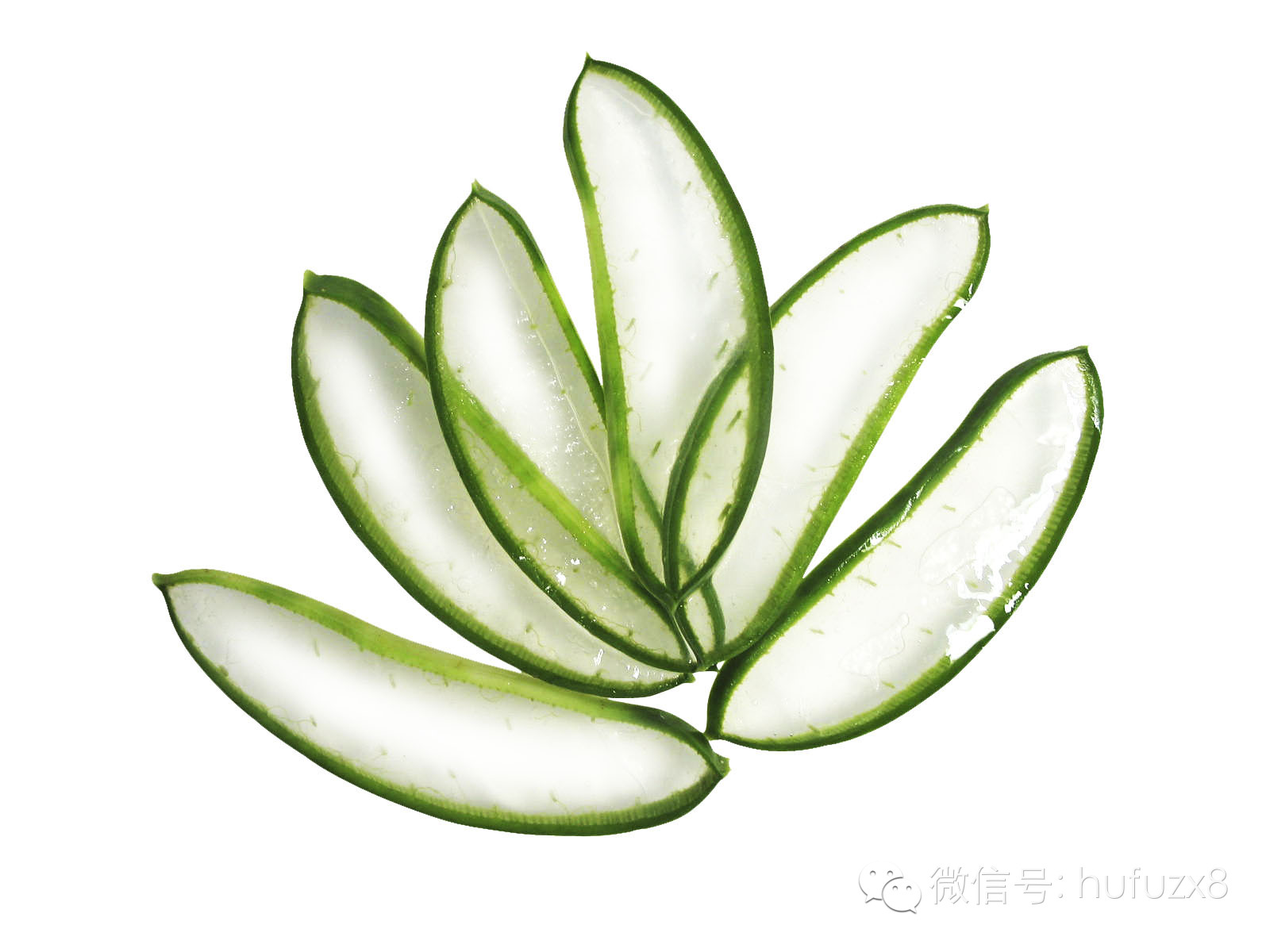 论黄瓜的重要性,论黄瓜的多种做法