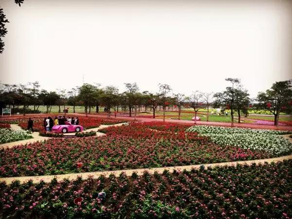 从东莞出发,不到两小时,就可以感受到靓爆灯的童话世界！