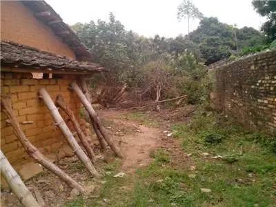 从最贫困村落到旅游首选地,一年时间,韶山这个地方经历了什么?