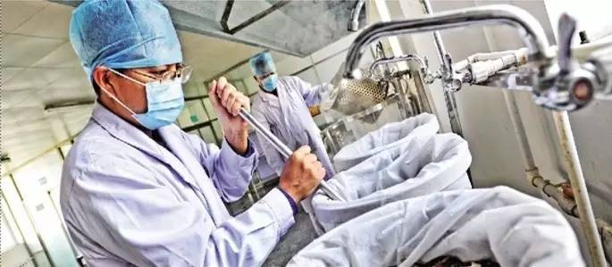 膏方怎么熬好呢,最好的膏方是什么