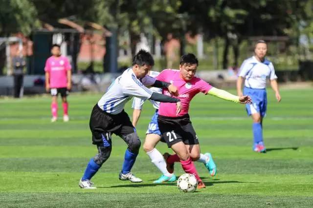 我眼中的足球世界,我眼中的足球世界杯