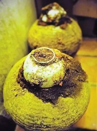 微语·精选中医界的黑发明——大便竟然也可以是名贵药材？