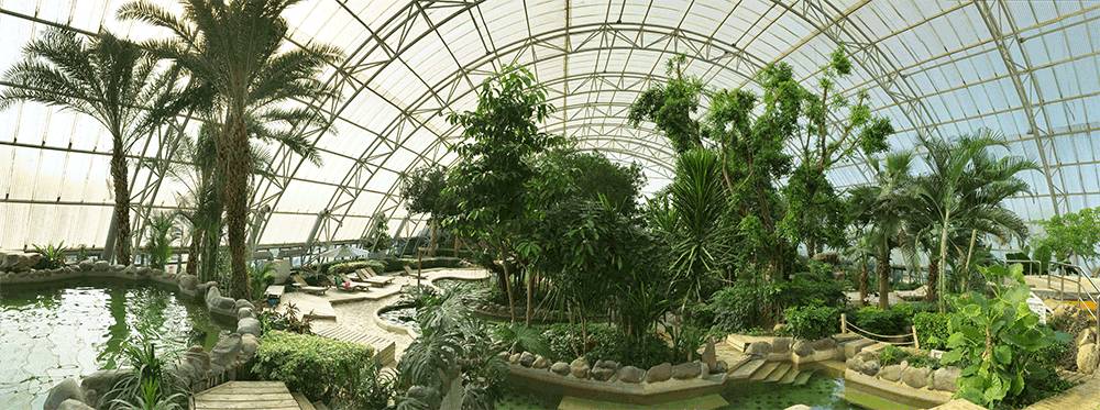 原来在宿舍也可以这么快乐,原来在大连也可以享受洱海