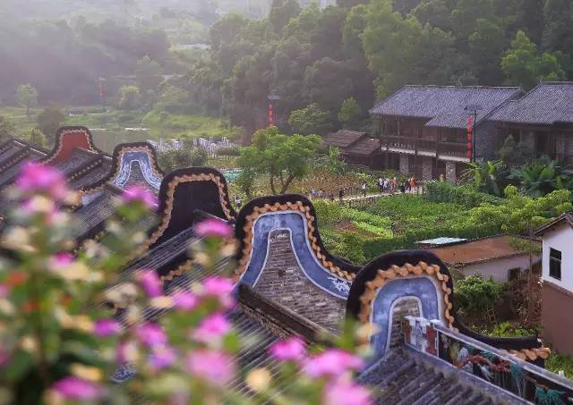 关注深圳龙岗,深圳龙岗最好消息