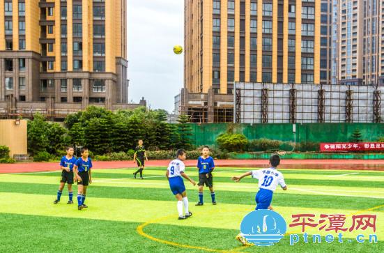 小学校园足球七人制比赛,思明区小学五人制足球赛