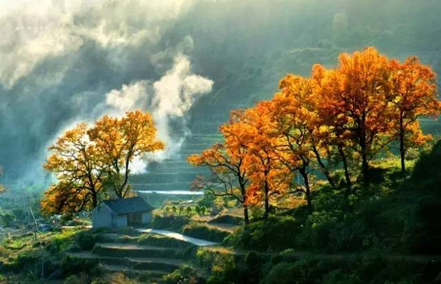 时已立冬,浙些美景再错过就要等明年了!