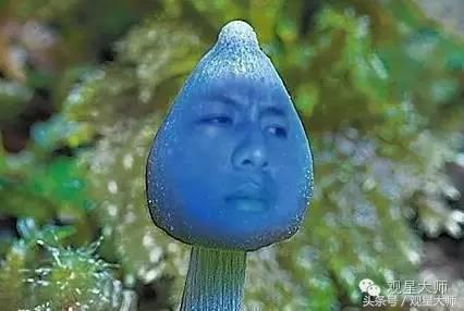 虞书欣孟子义参加一年级视频,孟子义虞书欣一年级插班生