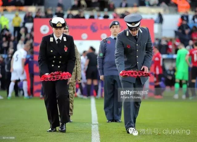 为了一朵花喝了一瓶酒,为了一朵花放弃一整个花园值吗