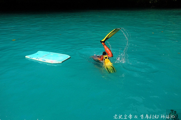 帕劳海底世界完整视频,帕劳潜水遇到的海底生物