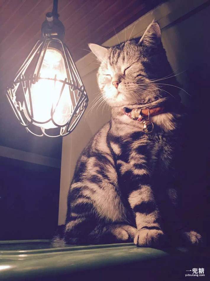 哪一种电暖炉比较好,轻奢电暖炉