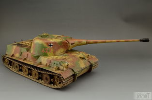 狮式重型坦克歼击车,德军狮式坦克