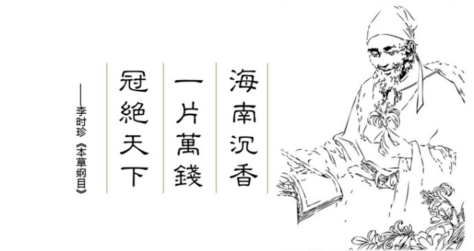 沉香来自于哪里,沉香的真实生活