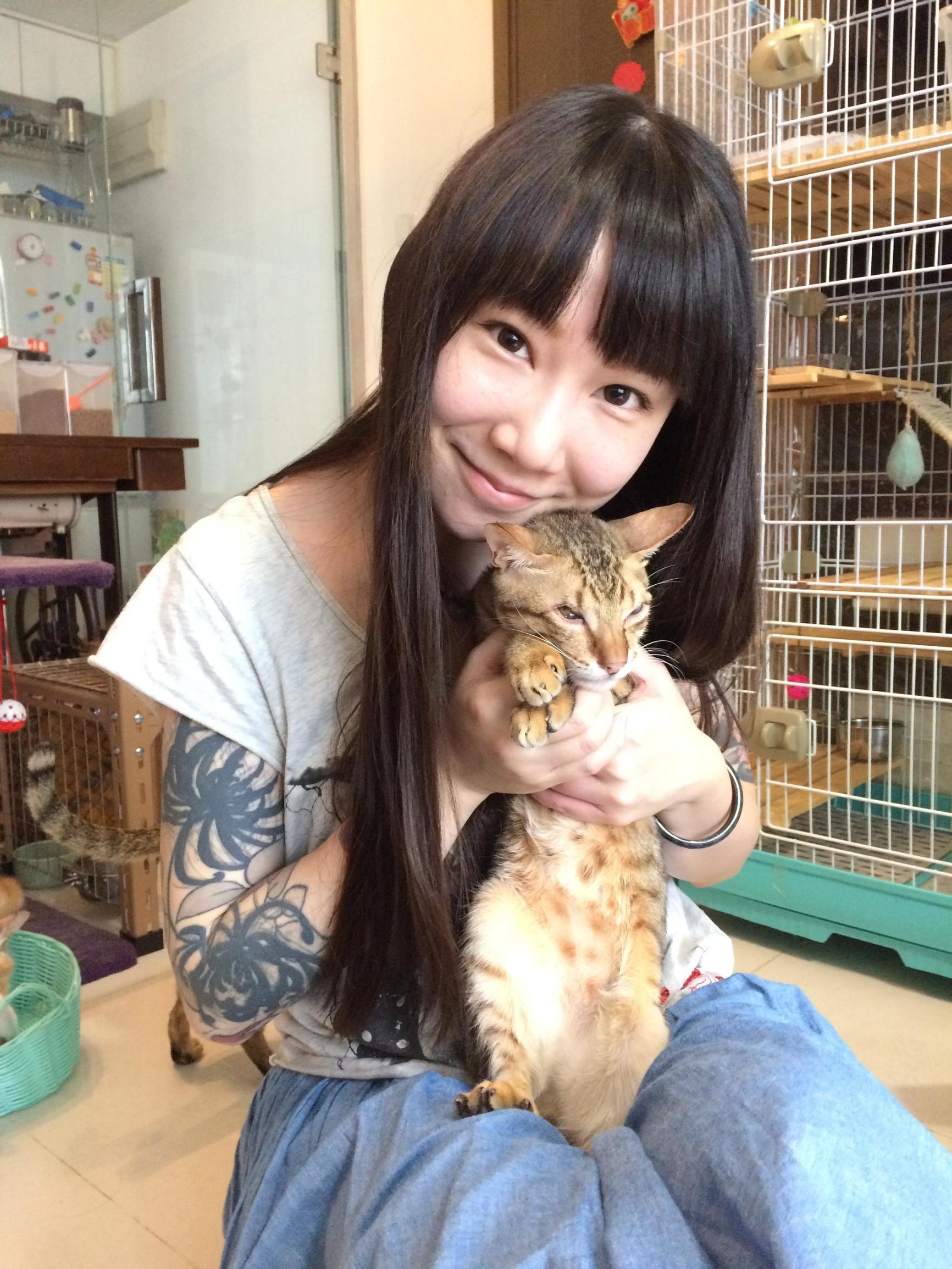 这个香港女孩，是20只残疾猫咪的妈妈：“我会照顾它们到老”