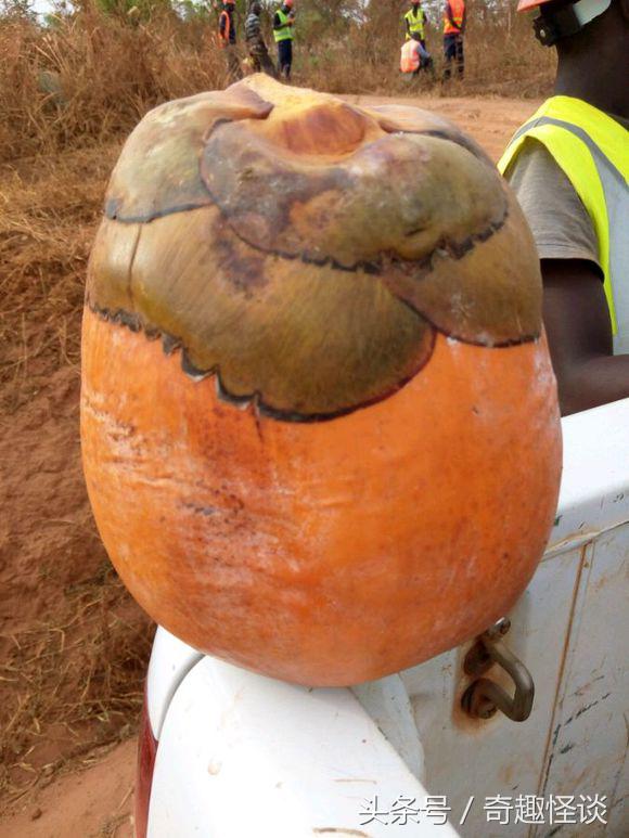 我在非洲工作的日子，给大家介绍下非洲的风土人情