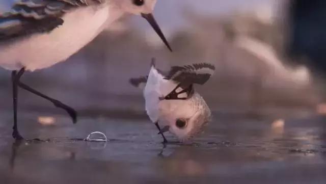 鸟是好鸟就是话多这幅图表达什么,鸟是好鸟是什么梗