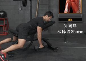 健身你只需练这9个动作就可以训练到全身肌肉尤其适合初学者