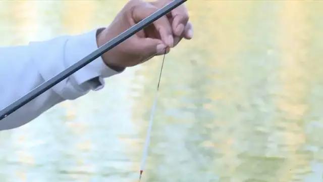 空钩调平水钓1-3目水底状态,新手平水调漂全过程