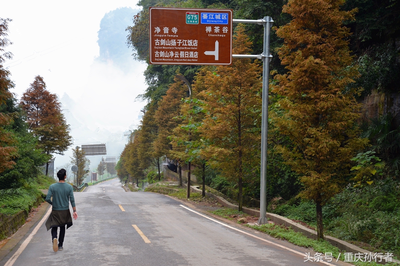 跨界歌王粤语版,跨界歌王英文歌曲