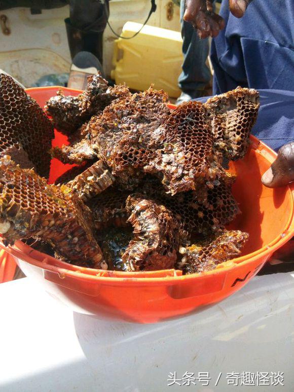 我在非洲工作的日子，给大家介绍下非洲的风土人情