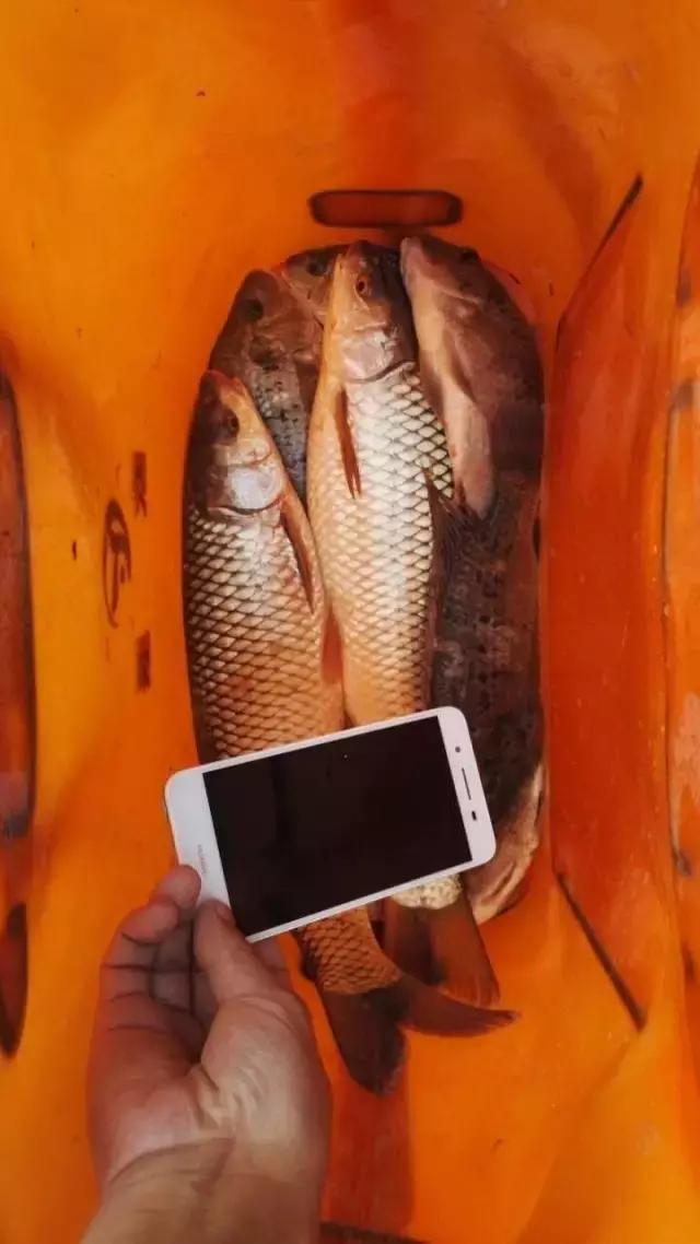 三兄弟垂钓视频,三兄弟钓鱼视频大全集