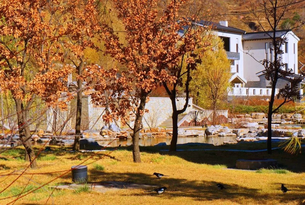 寻目的地｜灵山胜景触目是，梵音绕袅贯耳来