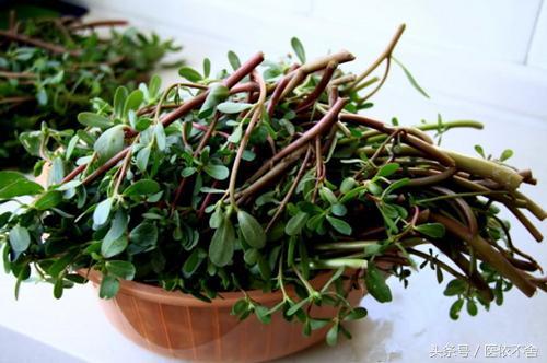 女性白带的最佳食疗方法,白带是黄色的如何食疗