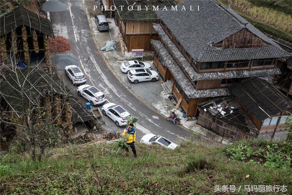 上山割茅草编茅草筐,农村割草竹筐手工编织教程