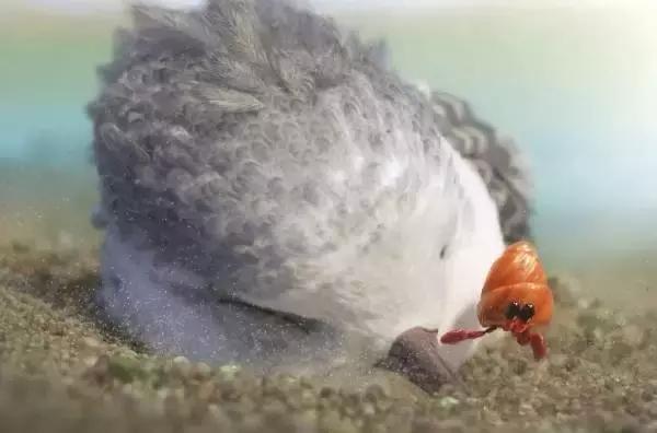 鸟是好鸟就是话多这幅图表达什么,鸟是好鸟是什么梗