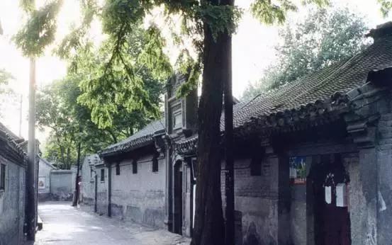 不懂潜规则是不是情商低,不懂潜规则的人能成功吗