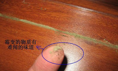 冰箱放在地板上怎么防潮,冰箱放在墙里怎么处理