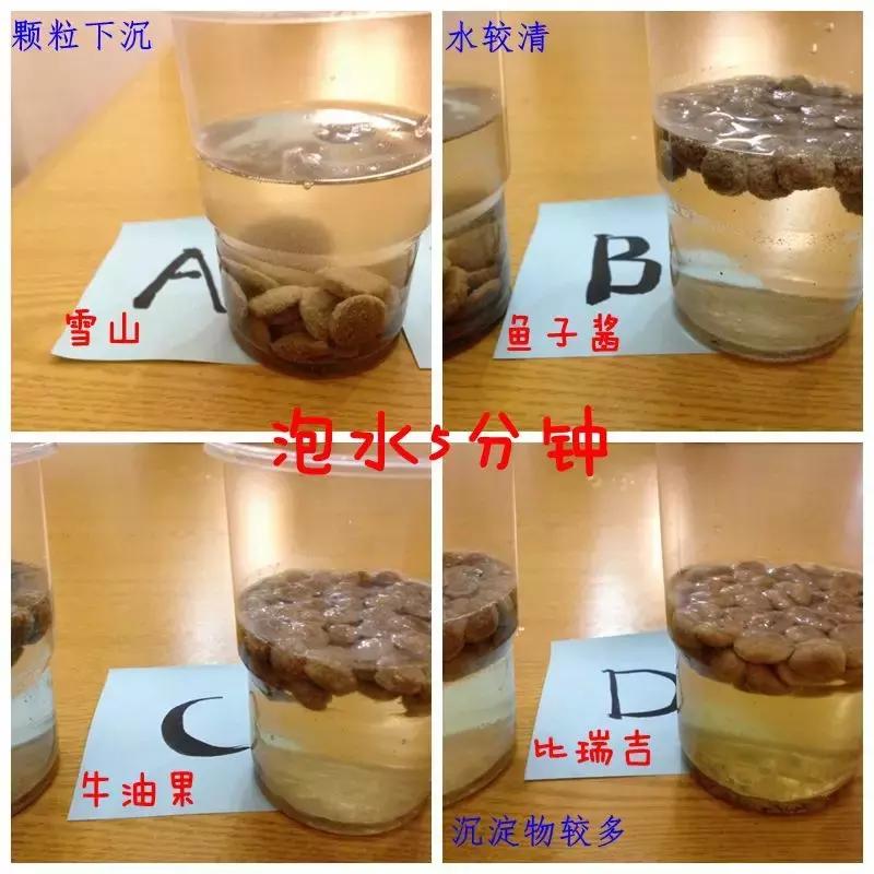 到底应该买什么狗粮,好的狗粮怎么买