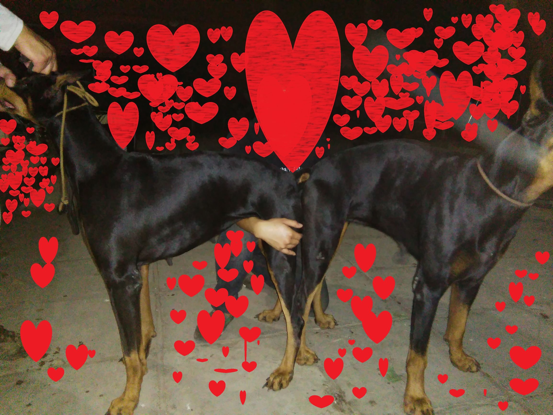 分享产房喜悦,分享产房故事