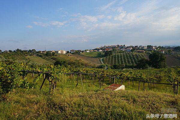 意酒网2021意大利葡萄酒年度峰会,意酒网葡萄酒