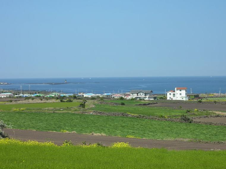 济州岛的生活日常,济州岛消费准备什么