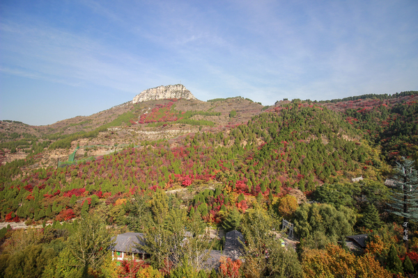冬游红叶谷,看万山红遍层林尽染全文