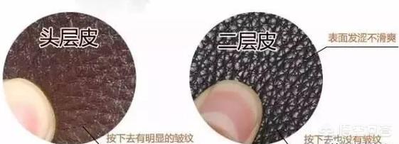 皮衣真的假的怎么看,男式水貂皮草真假辨别