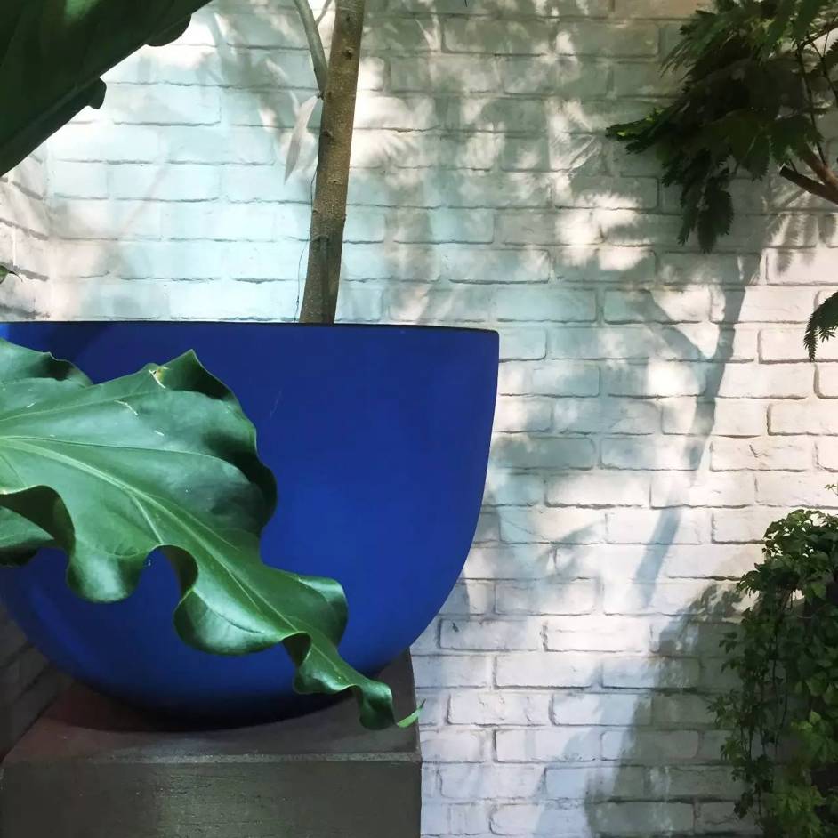 十万步走出的东京花店