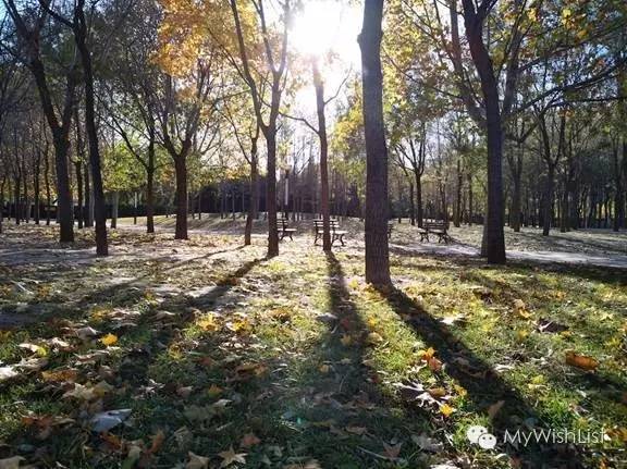 全面升级nubiaZ11miniS或许是最好的一代小牛