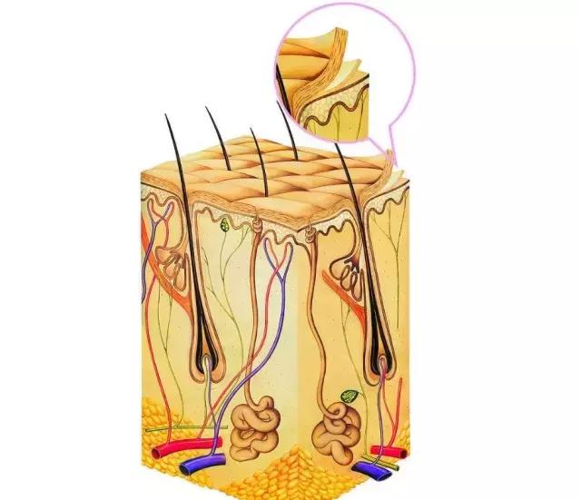 遇到冬季宝宝皮肤干燥怎么办,冬季宝宝皮肤干燥起皮怎么办