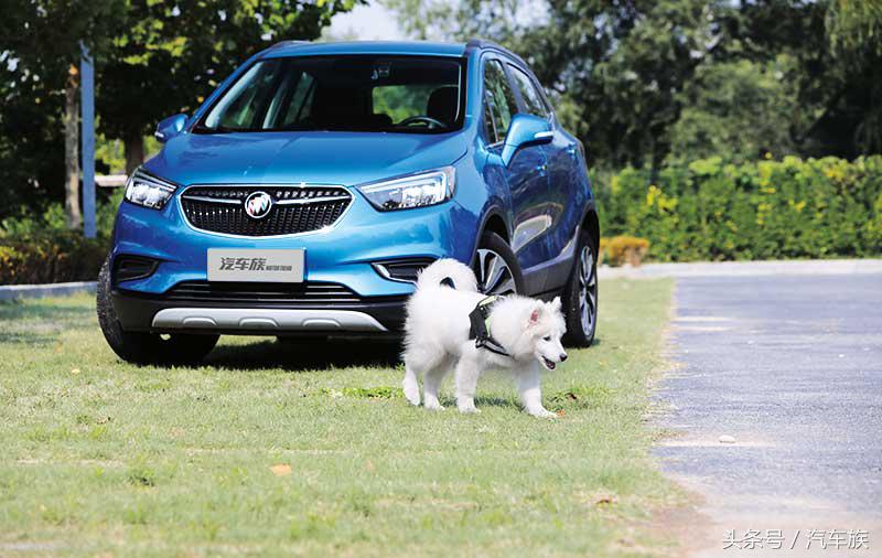 花儿与少年,花儿般的少女